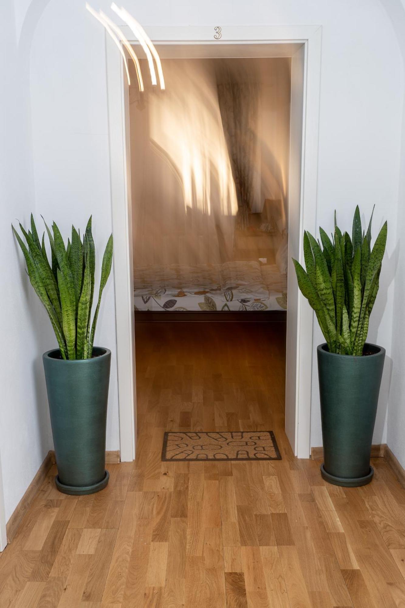 Downtown Sibiu Apartment ภายนอก รูปภาพ
